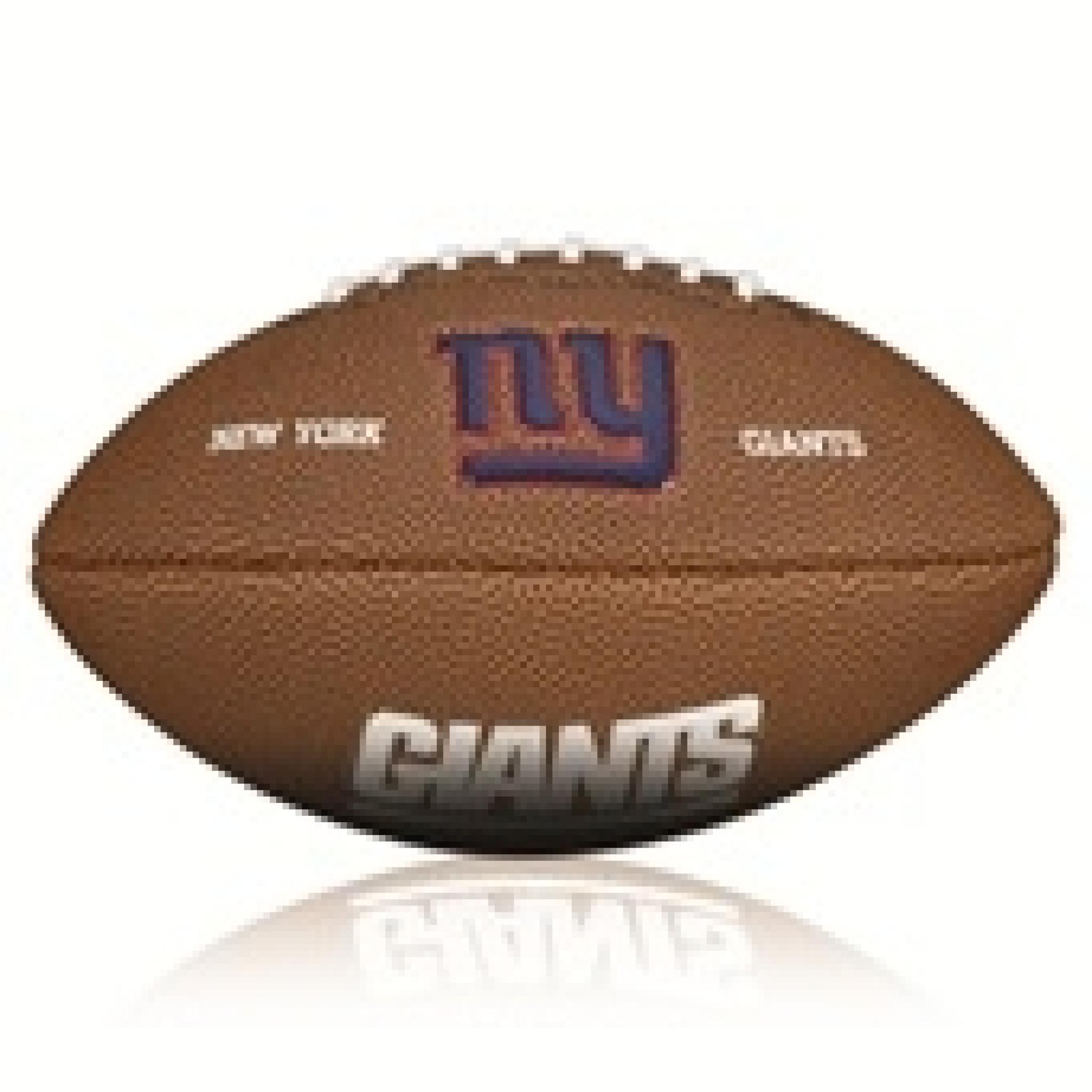 Wilson Nfl Mini Team Logo Football