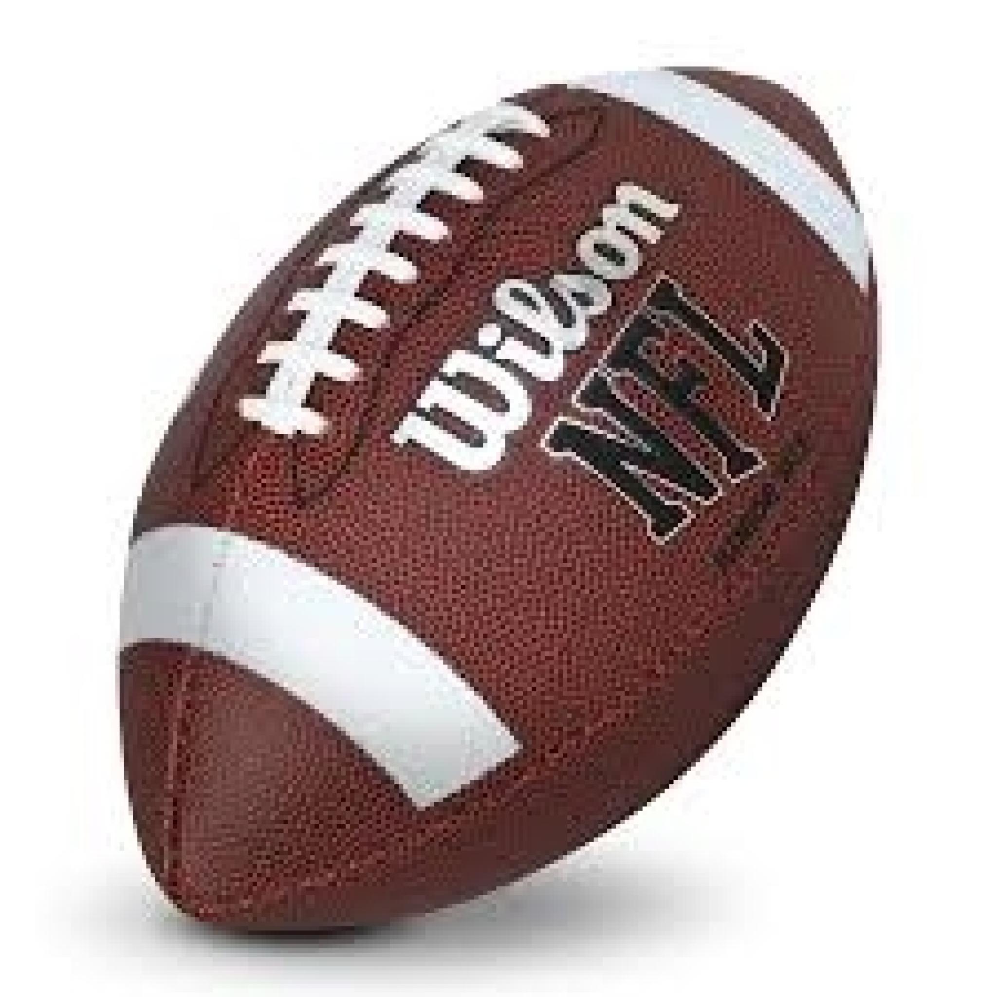 Wilson NFL Composite Ball